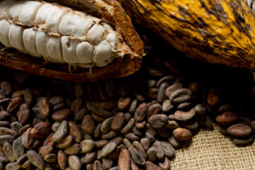 Circulair Cacaovrucht 1