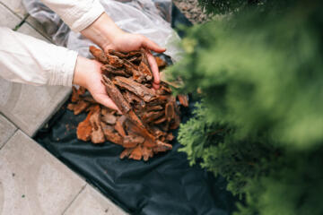 Circulair Groenafval 2